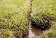 Deense deel van de Waddenzee - De Waddenzee: Het kustgebied van de Waddenzee bestaat uit duinen, wetlands, modderplaten, zoutmoerassen, estuaria, stranden en zandbanken....