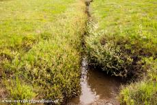 Deense deel van de Waddenzee - De Waddenzee: Het kustgebied van de Waddenzee bestaat uit duinen, wetlands, modderplaten, zoutmoerassen, estuaria, stranden en zandbanken....