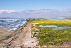 Deense deel van de Waddenzee - Waddenzee in Denemarken: Een 9 km lange betonnen dam leidt over de wadden en kwelders van de Waddenzee naar Rømø, het zuidelijkste...