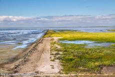 Deense deel van de Waddenzee - Waddenzee in Denemarken: Een 9 km lange betonnen dam leidt over de wadden en kwelders van de Waddenzee naar Rømø, het zuidelijkste...