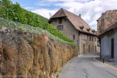 Wijngaardterrassen van de Lavaux - Wijngaardterrassen van Lavaux: Een nauw straatje in Villette, een van de dorpjes in de Lavaux, een wijnstreek in Zwitserland, de wijngaarden...