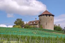 Wijngaardterrassen van de Lavaux - Wijngaardterrassen van Lavaux: Het Château de la Tour Bertholod in het wijndorp Lutry in de Lavaux, het beroemdste wijngebied van...