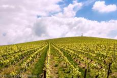 Champagnestreek, heuvels, wijnhuizen en kelders - Heuvels, wijnhuizen en kelders van de Champagne wijnstreek: &nbsp; Champagne is de naam van de meest beroemde mousserende wijn&nbsp;ter wereld....