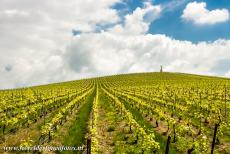 Champagnestreek, heuvels, wijnhuizen en kelders - Heuvels, wijnhuizen en kelders van de Champagne wijnstreek:   Champagne is de naam van de meest beroemde mousserende wijn ter wereld,...