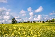 Provins, Town of Medieval Fairs - Provins, Town of Medieval Fairs: The disappearance of the fairs, as well as the joining of the Champagne region to the kingdom of France, led to...