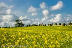 Provins, stad van middeleeuwse jaarmarkten - Provins, stad van middeleeuwse jaarmarkten: Na het verdwijnen van de jaarmarkten uit Provins, werd het weer een landelijk gelegen, klein...