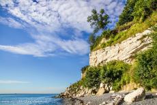 Stevns Klint - The lower part of Stevns Klint is composed of soft white chalk, the upper part is a hard yellow limestone, right in between those two layers,...
