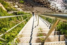 Stevns Klint - From the top of the white cliffs of Stevns Klint a steep staircase leads down to the beach. In the area around Stevns Klint are found the traces...