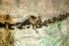 Stevns Klint - Het onderste gedeelte van Stevns Klint bestaat uit zachte witte krijtrotsen, het bovenste deel uit hardere gele kalksteen. Tussen de twee...