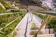 Stevns Klint - Vanaf de top van de kliffen van Stevns Klint leidt een steile trap naar het Oostzeestrand. In de krijtrotsen van deze rotsformatie en het gebied...