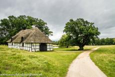 Parforce jachtlandschap in Noord-Seeland - Het parforce jachtlandschap in Noord-Seeland: Naastj een rietgedekte schuur staat de zomereik (Quercus robur) Englænderegen....