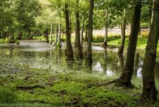 The par force hunting landscape in North Zealand - The par force hunting landscape in North Zealand: The mysterious Dousbad Swamp. Over the last four hundred years, the trees have been allowed to...