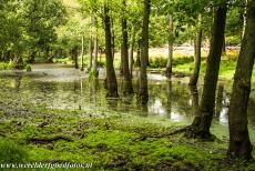 Parforce jachtlandschap in Noord-Seeland - Het parforce jachtlandschap in Noord-Seeland: In het mysterieuze Dousbadmoeras konden de bomen de afgelopen vierhonderd jaar ongeremd...