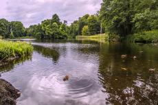 The par force hunting landscape in North Zealand - The par force hunting landscape in North Zealand: The Kildesø in Jægersborg Dyrehave is an elongated, picturesque pond surrounded by... The par force hunting landscape in North Zealand - The par force hunting landscape in North Zealand: The Kildesø in Jægersborg Dyrehave is an elongated, picturesque pond surrounded by...