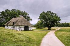 The par force hunting landscape in North Zealand - The par force hunting landscape in North Zealand: A picturesque thatched barn next to an English oak. This monumental oak ( Quercus... The par force hunting landscape in North Zealand - The par force hunting landscape in North Zealand: A picturesque thatched barn next to an English oak. This monumental oak ( Quercus...