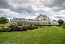 Koninklijke Botanische Tuinen, Kew - Koninklijke Botanische Tuinen van&nbsp;Kew: Het imposante Palm House in de tuinen van Kew werd gebouwd in 1845-1848&nbsp;om planten uit&nbsp;het...