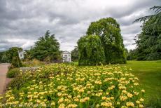Koninklijke Botanische Tuinen, Kew - Koninklijke Botanische Tuinen, Kew: De grote border langs de Broad Walk, op de achtergrond de Oranjerie. In de botanische&nbsp;tuinen staan ruim...