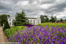 Koninklijke Botanische Tuinen, Kew - Koninklijke Botanische Tuinen, Kew: De Oranjerie ligt langs de Broad Walk. De Broad Walk leidt vanaf de hoofdingang naar het Palm House....