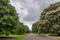 Koninklijke Botanische Tuinen, Kew - Koninklijke Botanische Tuinen, Kew: Kew Gardens ligt vlakbij Heathrow Airport in Londen, de tuinen liggen direct onder de vliegroutes van en...