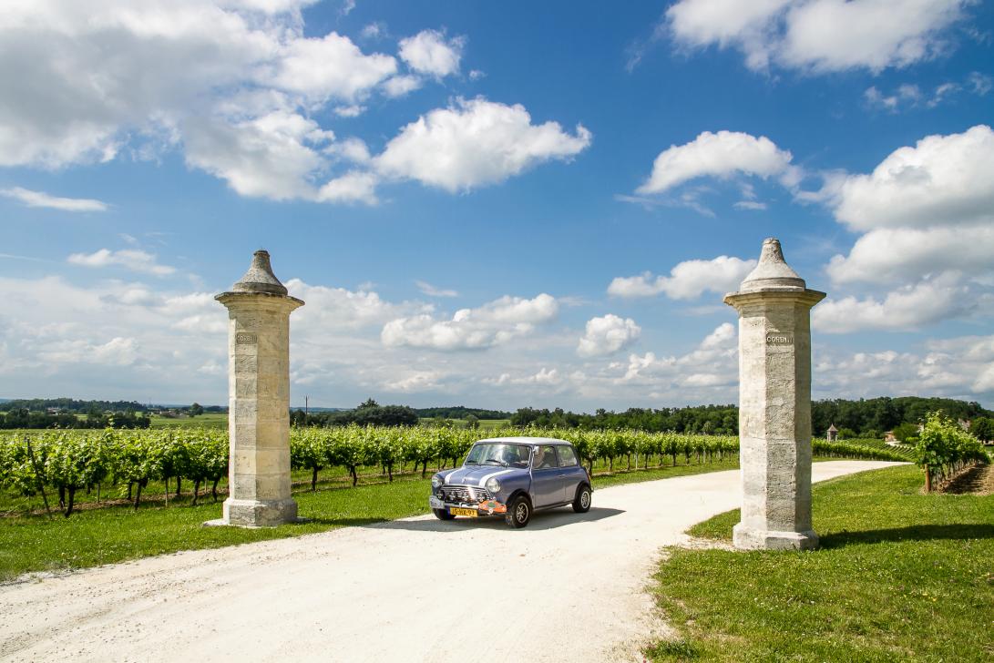 Jurisdiction de Saint-Émilion - Jurisdiction de Saint-Émilion: A classic Mini in the vineyards of Château Corbin, a wine château in the... Jurisdiction de Saint-Émilion - Jurisdiction de Saint-Émilion: A classic Mini in the vineyards of Château Corbin, a wine château in the...