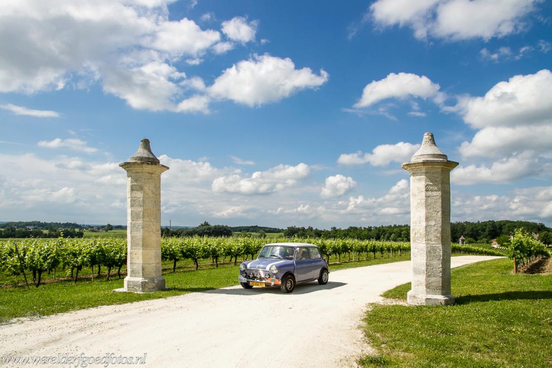 Jurisdictie van Saint-Émilion - Jurisdictie van Saint-Émilion: Een classic mini in een wijngaard van Château Corbin, een wijngoed in de... Jurisdictie van Saint-Émilion - Jurisdictie van Saint-Émilion: Een classic mini in een wijngaard van Château Corbin, een wijngoed in de...