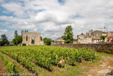 Jurisdictie van Saint-Émilion - Jurisdictie van Saint-Émilion: Les Grandes Murailles, de Grote Muur, in het stadje Saint-Émilion, de muur is het laatste...