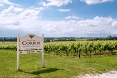 Jurisdiction de Saint-Émilion - Jurisdiction de Saint-Émilion: The vineyards of Château Corbin, the estate dates back to the 15th century and is one of the... Jurisdiction de Saint-Émilion - Jurisdiction de Saint-Émilion: The vineyards of Château Corbin, the estate dates back to the 15th century and is one of the...
