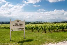 Jurisdictie van Saint-Émilion - Jurisdictie van Saint-Émilion: Een van de wijngaarden van het wijndomein Château Corbin, het dateert uit de 15de eeuw en behoort...