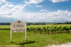 Jurisdiction de Saint-Émilion - Jurisdiction de Saint-Émilion: The vineyards of Château Corbin, the estate dates back to the 15th century and is one of the...