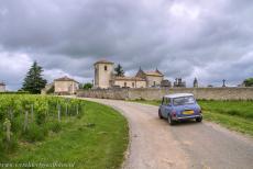 Jurisdiction de Saint-Émilion - Jurisdiction de Saint-Émilion: A classic Mini driving through the vineyards of the Saint-Émilion wine region, the... Jurisdiction de Saint-Émilion - Jurisdiction de Saint-Émilion: A classic Mini driving through the vineyards of the Saint-Émilion wine region, the...