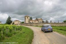 Jurisdiction de Saint-Émilion - Jurisdiction de Saint-Émilion: A classic mini driving through the vineyards of the Saint-Émilion wine region, the...