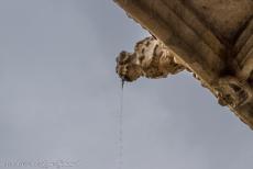 Monastery of the Hieronymites in Lisbon - Monastery of the Hieronymites in Lisbon: One of the gargoyles of the cloisters, during a heavy rain shower a stream of water erupted out of...