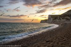 Kust van Dorset en Oost-Devon - De kust van Dorset en Oost-Devon wordt ook wel de Jurassic Coast genoemd. De Jurassic Coast strekt zich uit over een lengte van 155 km langs de...