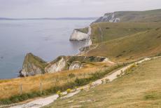 Dorset and East Devon Coast - The Dorset and East Devon Coast: Lulworth Cove is surrounded by the Lulworth Crumple, layers of rock formed by the collision of the...