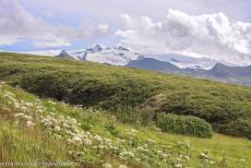 Nationaal Park Vatnajökull - Nationaal Park Vatnajökull - dynamisch natuurgebied van vuur en ijs: De Hvannadalshnúkur is een bergpiek op de rand van de...