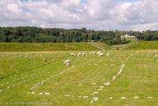 Ringforten uit de Vikingtijd - Fort Fyrkat werd rond 980 gebouwd en maakte deel uit van een groter militair netwerk van ringburchten, waaronder Aggersborg en Trelleborg. Fort... Ringforten uit de Vikingtijd - Fort Fyrkat werd rond 980 gebouwd en maakte deel uit van een groter militair netwerk van ringburchten, waaronder Aggersborg en Trelleborg. Fort...