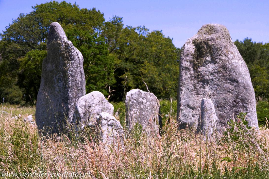 Megalieten van Carnac - De Kermario, een van de sites met megalitische stenen in Carnac. De megalieten van Carnac zijn te vinden in de heidevelden en bossen rond... Megalieten van Carnac - De Kermario, een van de sites met megalitische stenen in Carnac. De megalieten van Carnac zijn te vinden in de heidevelden en bossen rond...