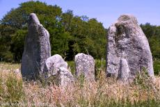 Megalieten van Carnac - De Kermario, een van de sites met megalitische stenen in Carnac. De megalieten van Carnac zijn te vinden in de heidevelden en bossen rond...