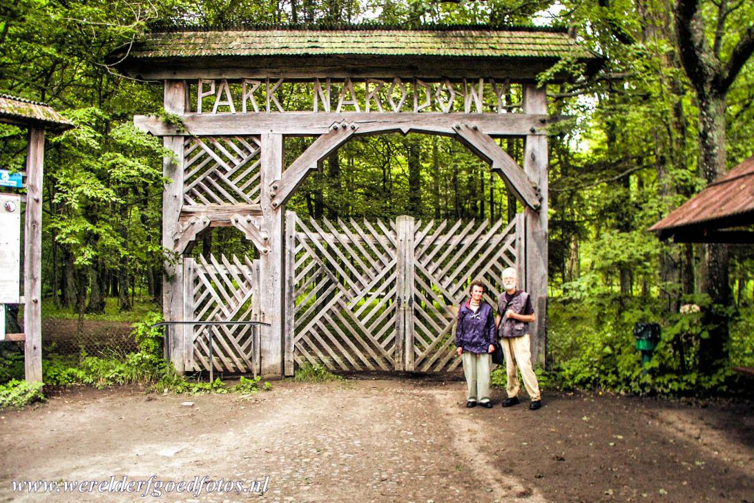 Białowieża Forest - The wooden entrance gate of the Polish Białowieża National Park. A part of the primeval forest of Białowieża is situated inside a... Białowieża Forest - The wooden entrance gate of the Polish Białowieża National Park. A part of the primeval forest of Białowieża is situated inside a...
