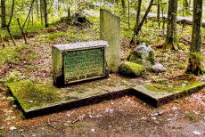 Oerbos van Białowieża - Białowieża Nationaal Park: De graven van slachtoffers uit WO II. Alleen tijdens een tocht onder leiding van een gecertificeerde gids door het... Oerbos van Białowieża - Białowieża Nationaal Park: De graven van slachtoffers uit WO II. Alleen tijdens een tocht onder leiding van een gecertificeerde gids door het...