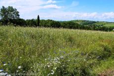 Pilgrimage Park in Kalwaria Zebrzydowska - The Calvary of Kalwaria Zebrzydowska is based on the Via Dolorosa in Jerusalem. The chapels of the Calvary Sanctuary of Kalwaria Zebrzydowska...