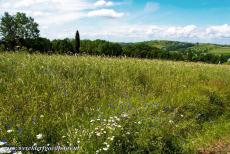 Pilgrimage Park in Kalwaria Zebrzydowska - The Calvary of Kalwaria Zebrzydowska is based on the Via Dolorosa in Jerusalem. The chapels of the Calvary Sanctuary of Kalwaria Zebrzydowska...