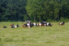 Schokland and Surroundings - Schokland and Surroundings: Until the 17th century, there was enough suitable soil for farming and cattle breeding. Storms and floods caused...