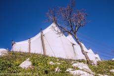 Tempel van Apollo Epicurius in Bassae - Sinds 1987 wordt de tempel van Apollo Epicurius in Bassae tegen vorst en zure regen door een reusachtige tent beschermd, totdat de...