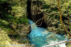 Škocjan Caves - The river Reka disappears underground at the Velika Dolina, the Big Collapse Doline, a unique sinkhole of the Škocjan Caves up to 165...