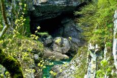 Grotten van Škocjan - Grotten van Škocjan: De rivier de Reka stroomt 38 km onder het Sloveens karstgebied door de Grotten van Škocjan. De...