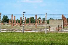 Auschwitz - Birkenau - Auschwitz - Birkenau: Van de houten barakken staan alleen nog de stenen schoorstenen. Het bekendste slachtoffer van de Holocaust, de systematische... Auschwitz - Birkenau - Auschwitz - Birkenau: Van de houten barakken staan alleen nog de stenen schoorstenen. Het bekendste slachtoffer van de Holocaust, de systematische...