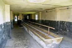 Auschwitz - Birkenau - De wasruimte in Auschwitz - Birkenau. De hygiënische omstandigheden voor de gevangenen in Auschwitz - Birkenau waren zeer slecht. Er was... Auschwitz - Birkenau - De wasruimte in Auschwitz - Birkenau. De hygiënische omstandigheden voor de gevangenen in Auschwitz - Birkenau waren zeer slecht. Er was...