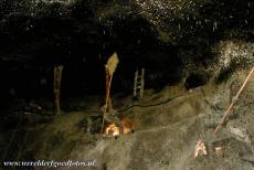 Wieliczka and Bochnia Royal Salt Mines - Wieliczka Salt Mine: The Spalone Chamber (Burned Out Chamber) contains several salt statues, commemorating the miners whose job it was to...