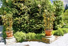 Botanical Garden (Orto Botanico) of Padua - The Botanical Garden of Padua was the first botanical garden in the world, it was founded in 1545. The garden was enriched...